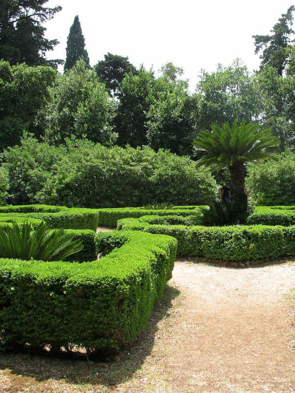 vue du jardin botanique