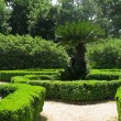 vue du jardin botanique