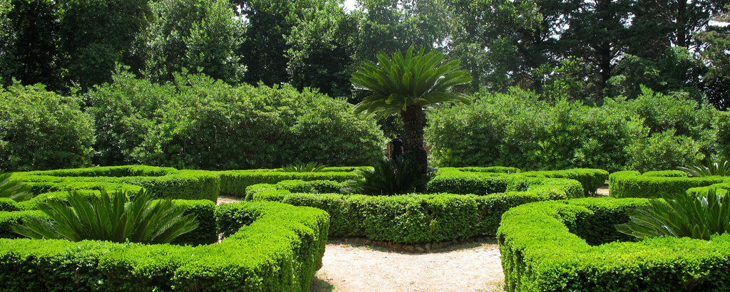 lokrum jardin botanique