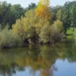 Lac du parc Bundek
