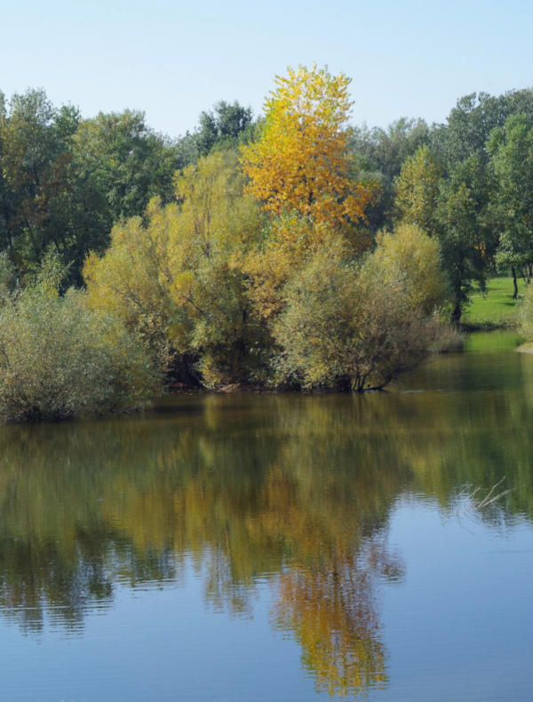 Lac du parc Bundek