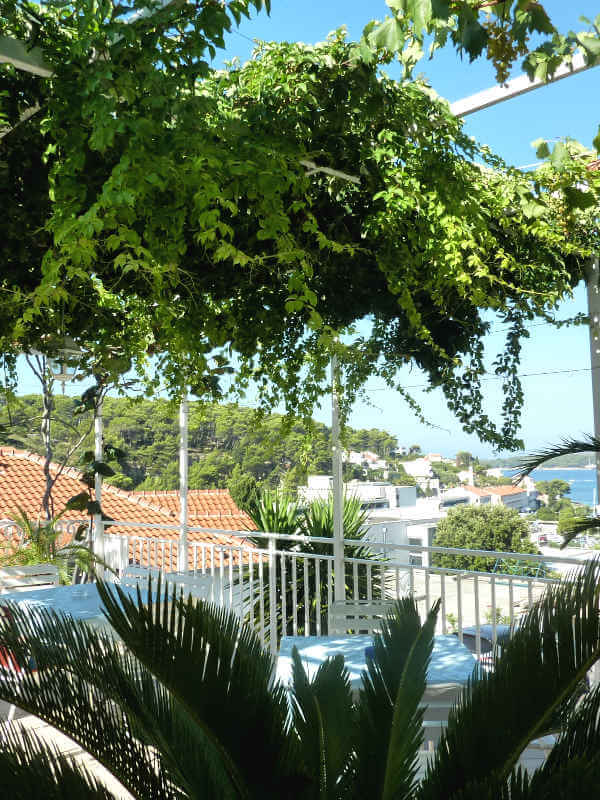 Terrasse d'une location à Hvar