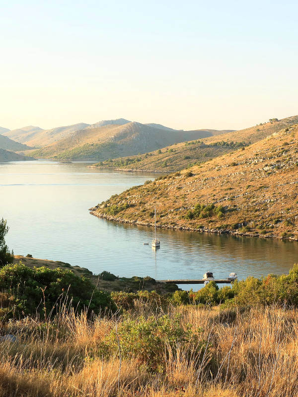 Cuscica kornati