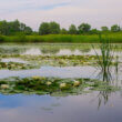 parc naturel de croatie