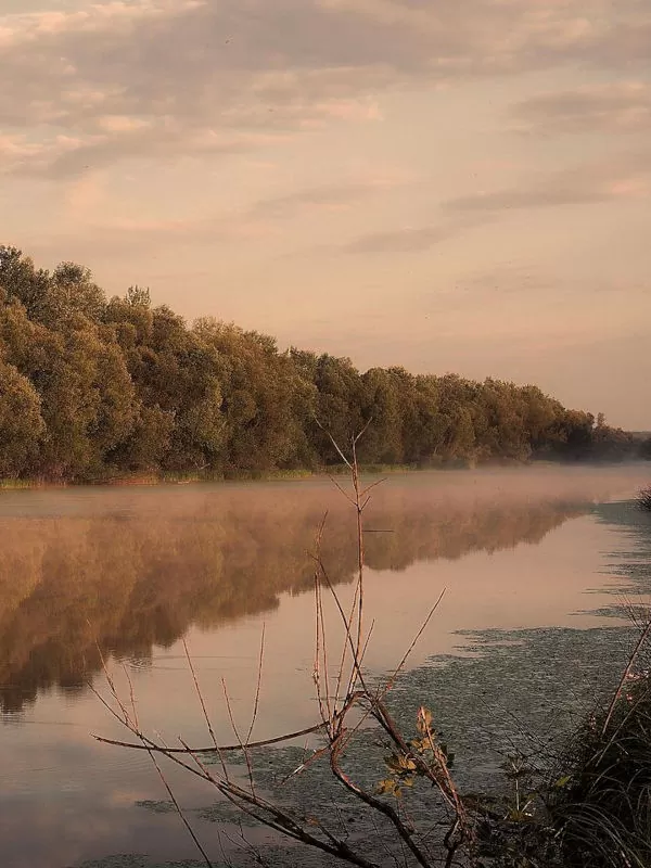 Lonjsko Polje, rivière