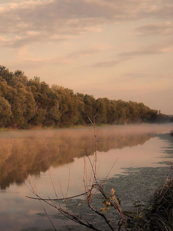 Lonjsko Polje, rivière