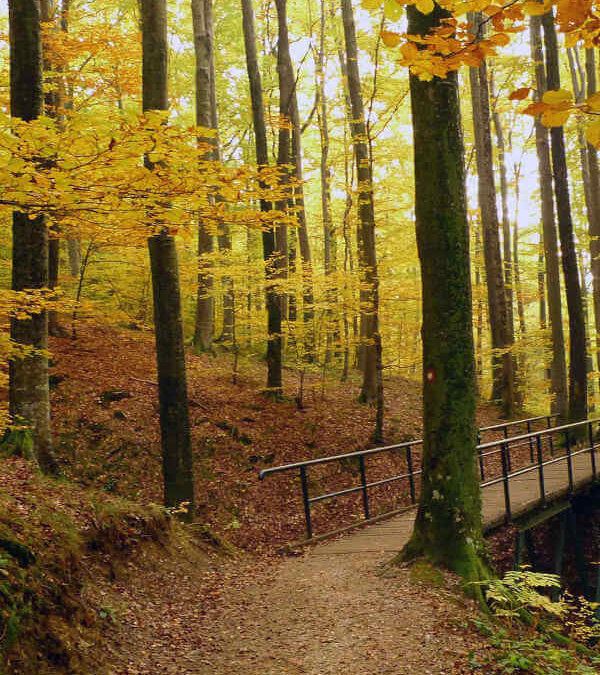La Croatie en automne