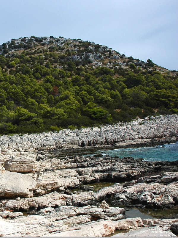 rochers en bordure de rivage