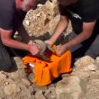 fouille archéologique en Croatie