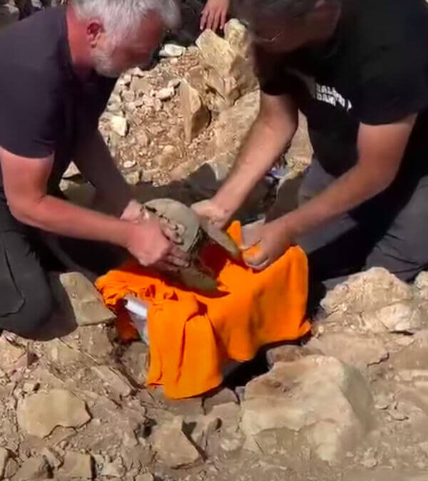 Découverte d’un casque illyrien à Pelješac