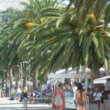 hvar, des touristes avec leurs valises